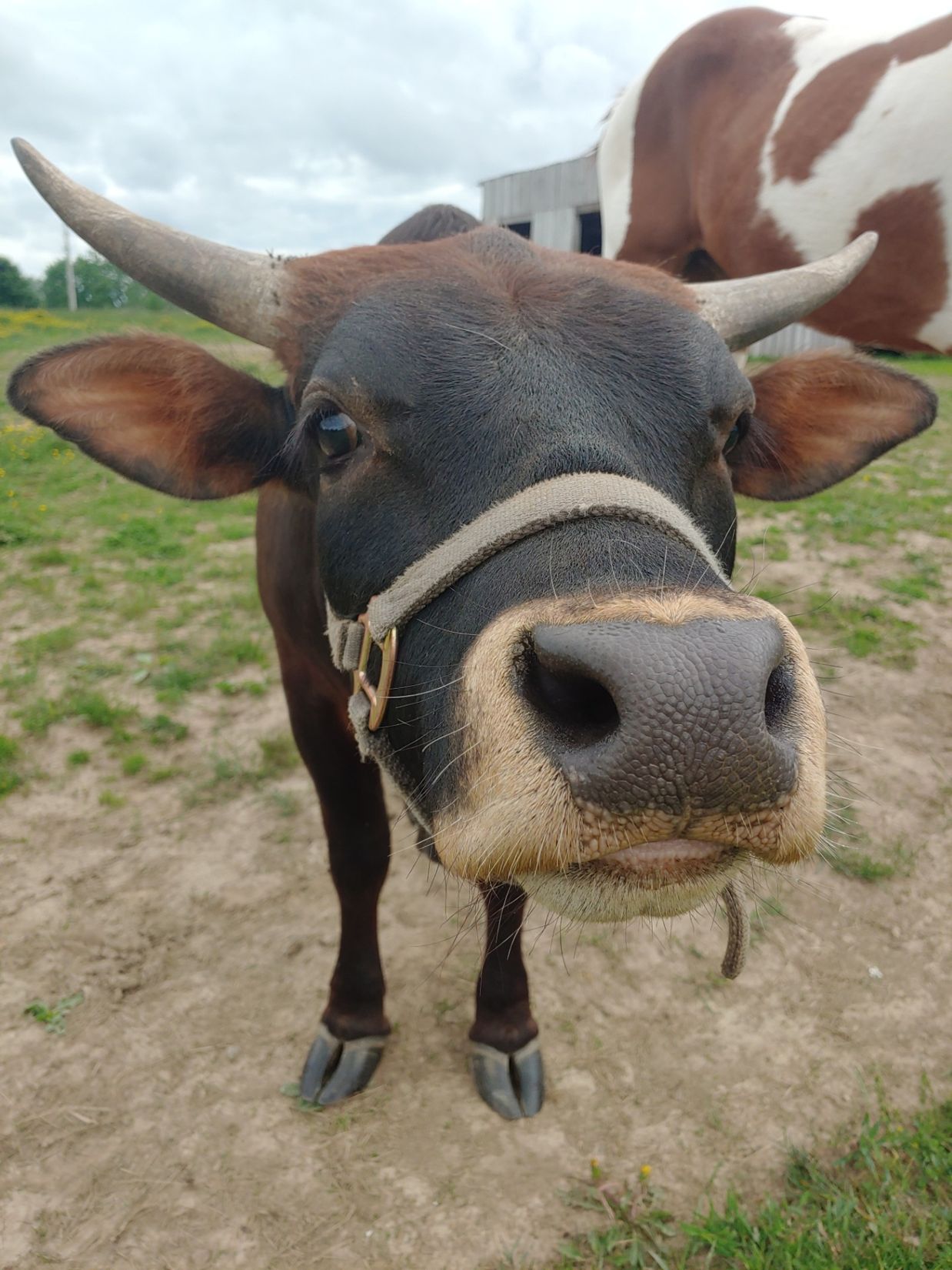 financial well-being