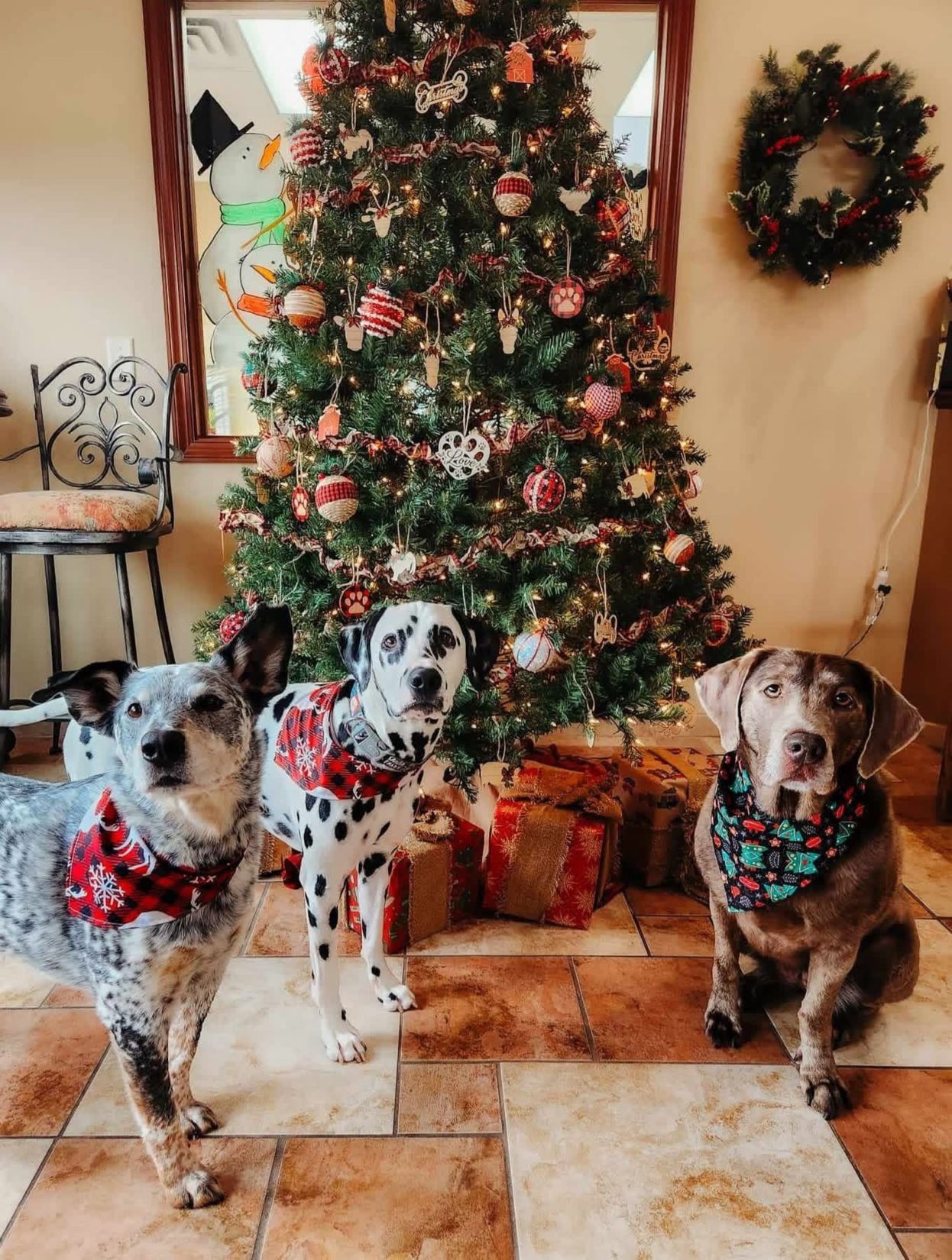 Education and training programs