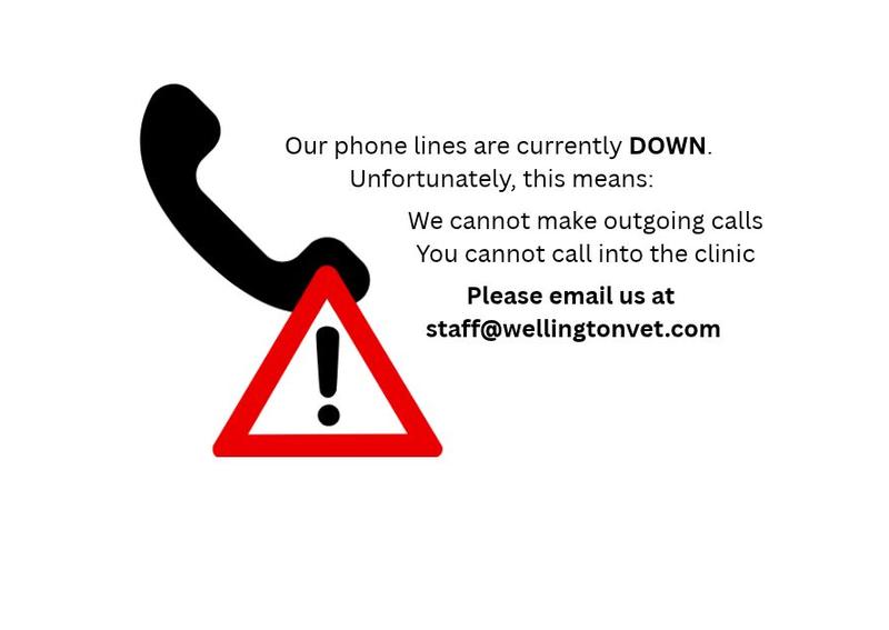 Carousel Slide 1: 