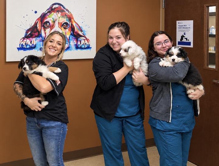 $city Vet Exams
