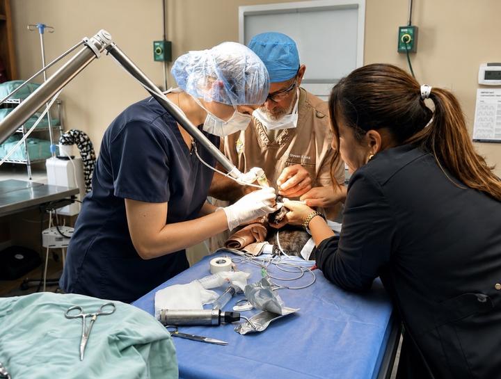 Laser Surgery