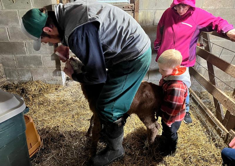 Carousel Slide 5: On the farm with Dr. Cody